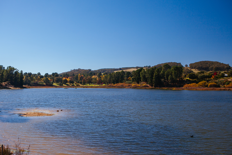 Beechworth Tree Walks - Lake Walk