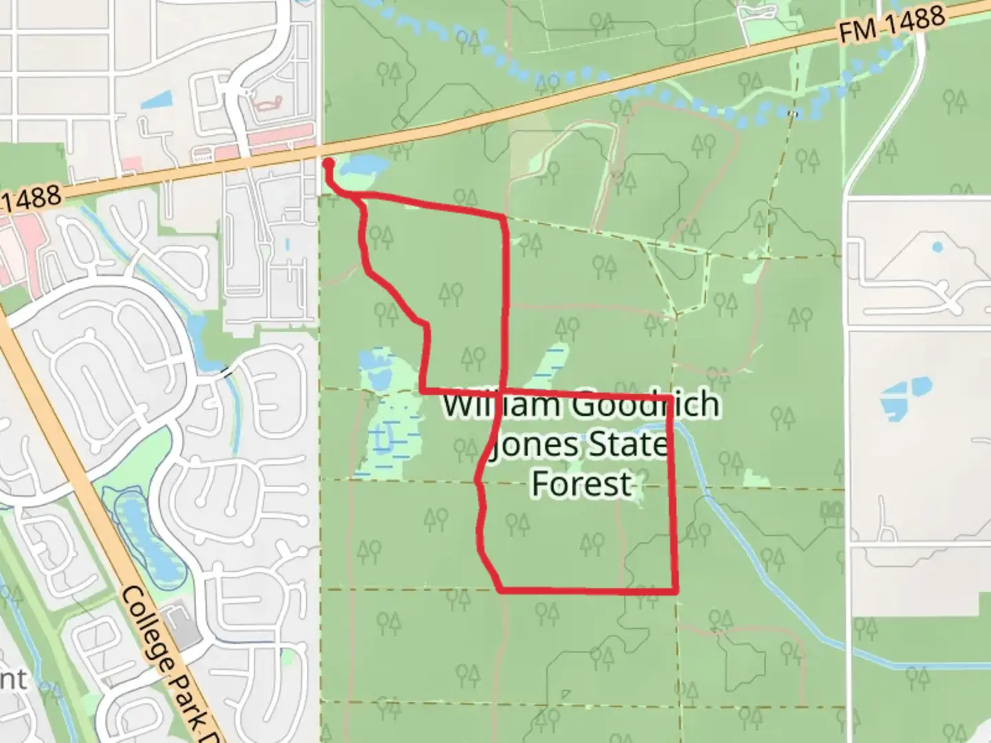 An image depicting the trail William Goodrich Jones State Forest Loop and its surrounding area.