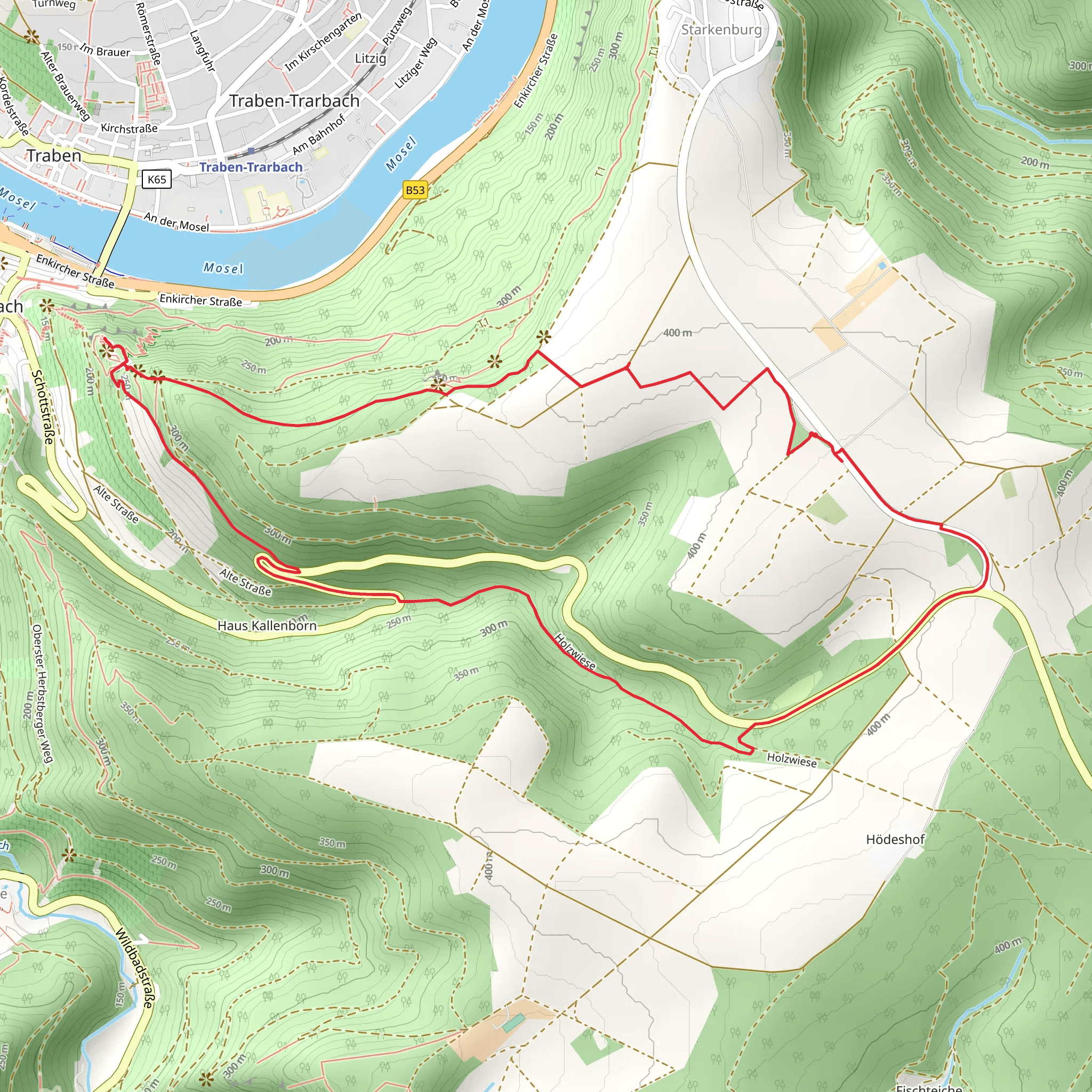 Grevenburg via Moselhoehenweg mobile static map