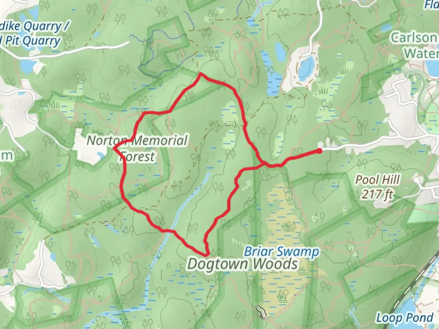 An image depicting the trail Dogtown Woods Loop and its surrounding area.