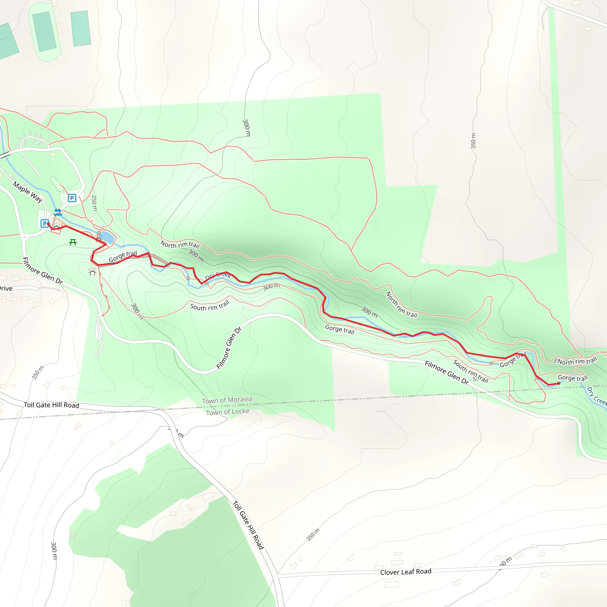Dry Creek from Fillmore Glen State Park mobile static map