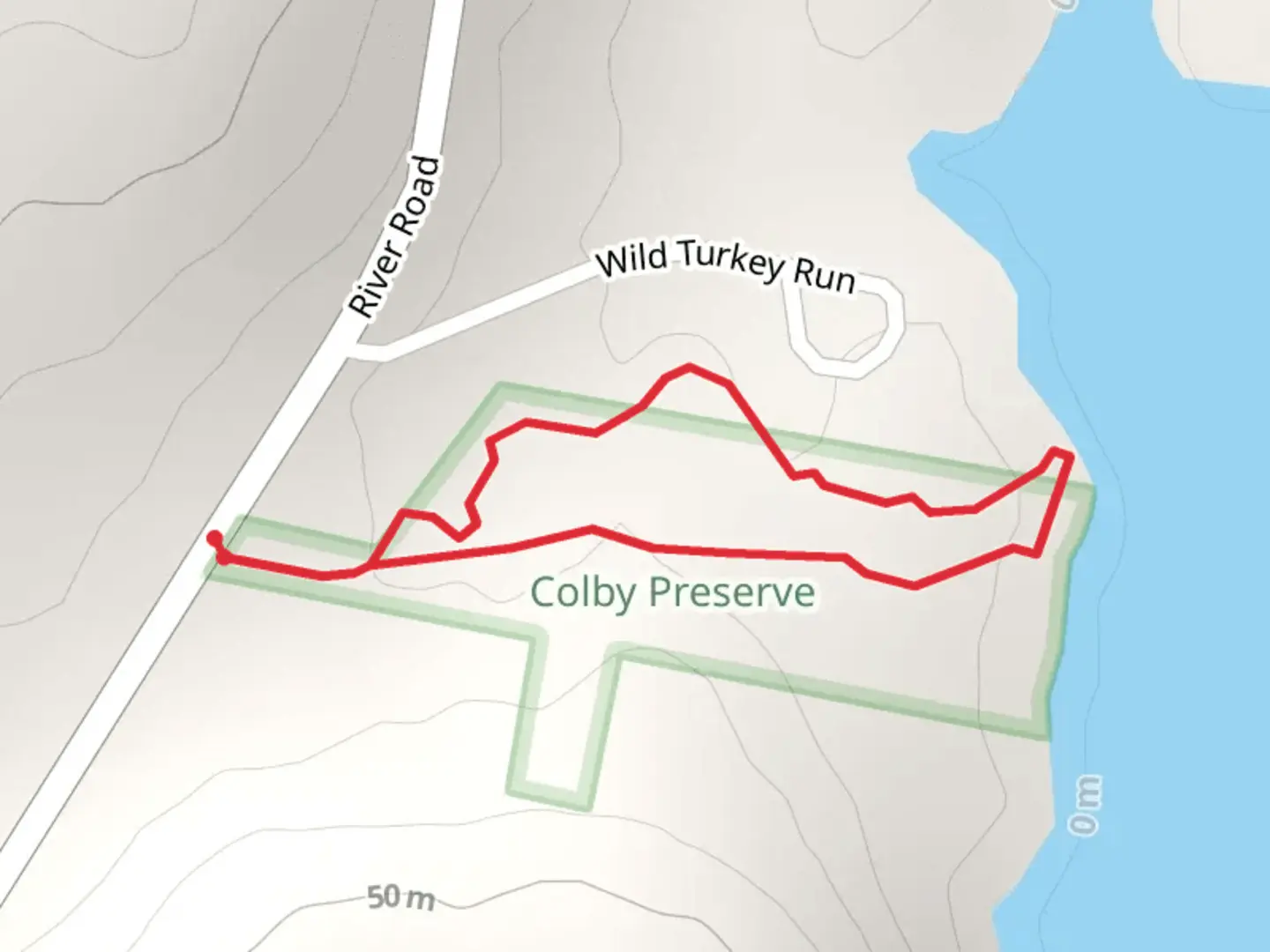 An image depicting the trail Salt Marsh Cove Loop Trail and its surrounding area.