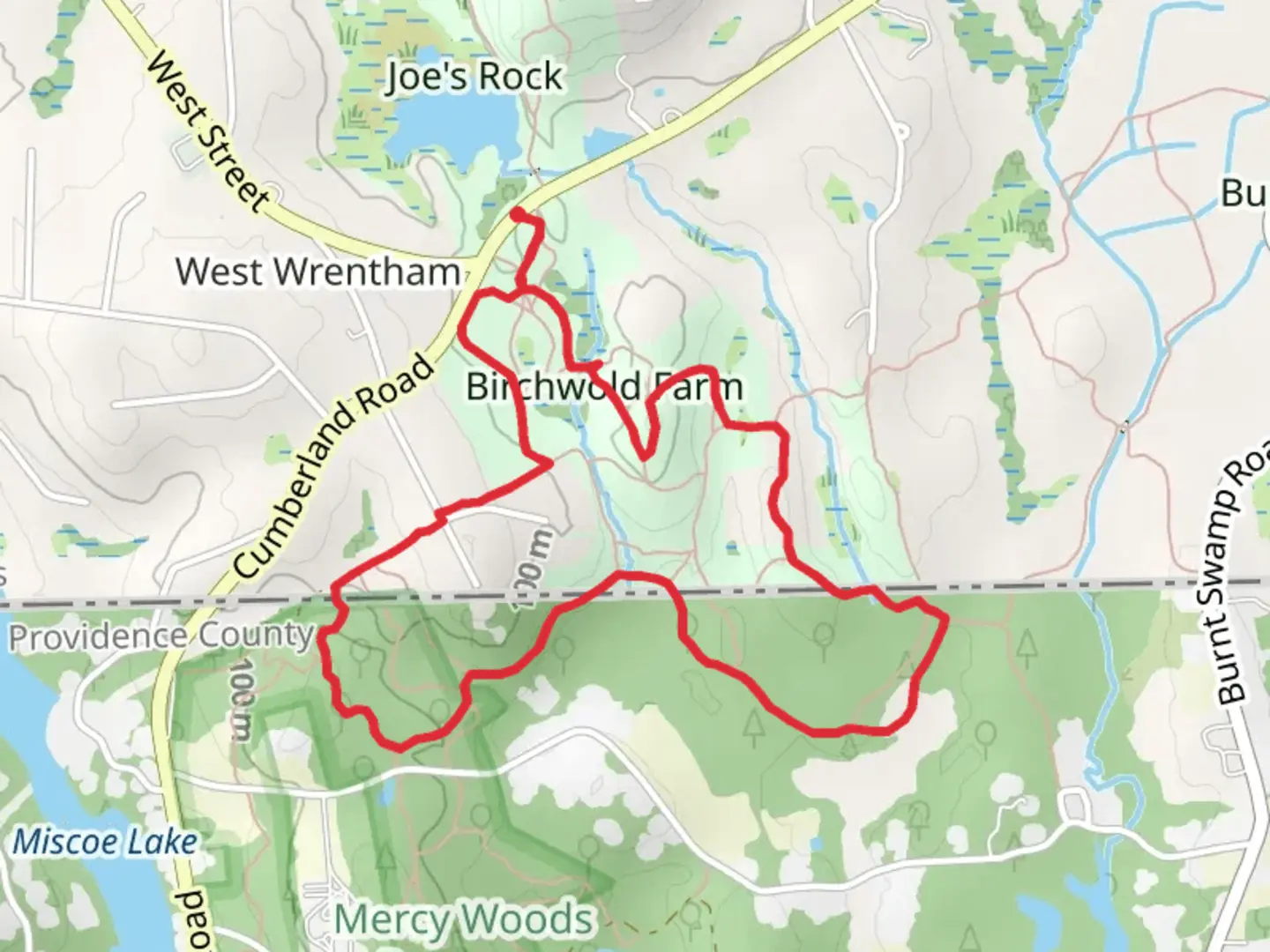An image depicting the trail West Street South Loop Trail and its surrounding area.