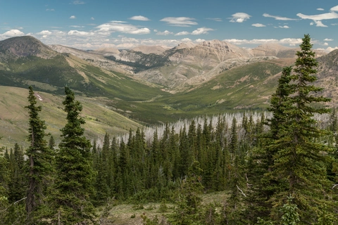 An image depicting the trail Hobnail Tom Trail and its surrounding area.