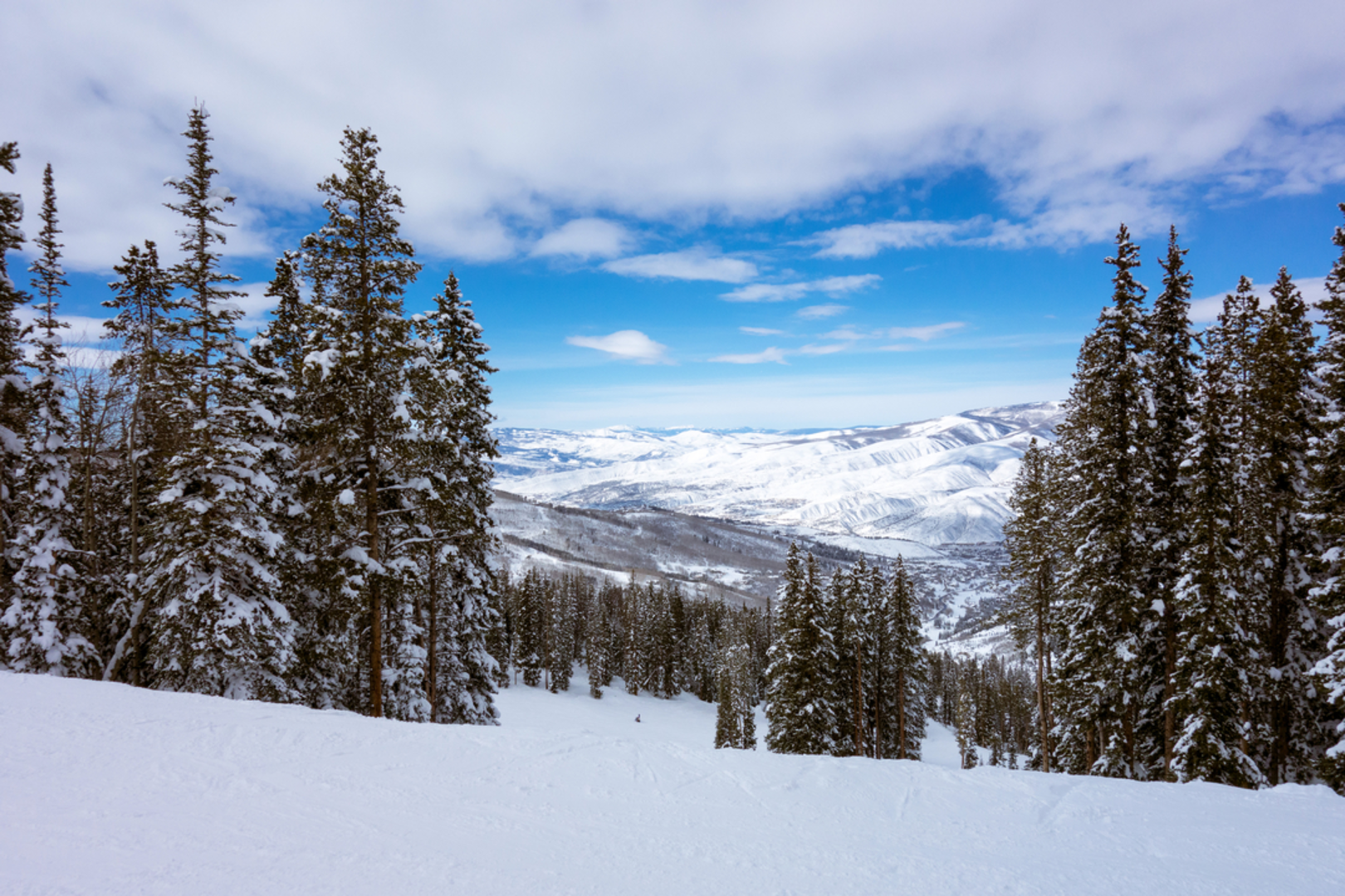 An image depicting the trail Buck Creek Trail and its surrounding area.