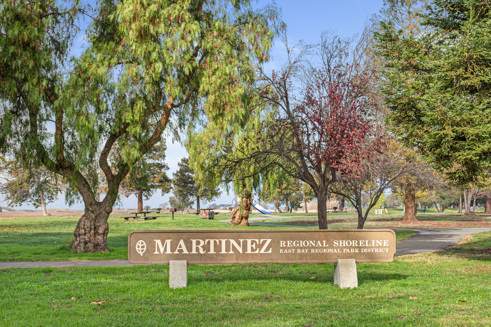 An image depicting the trail Pickleweed Trail and its surrounding area.