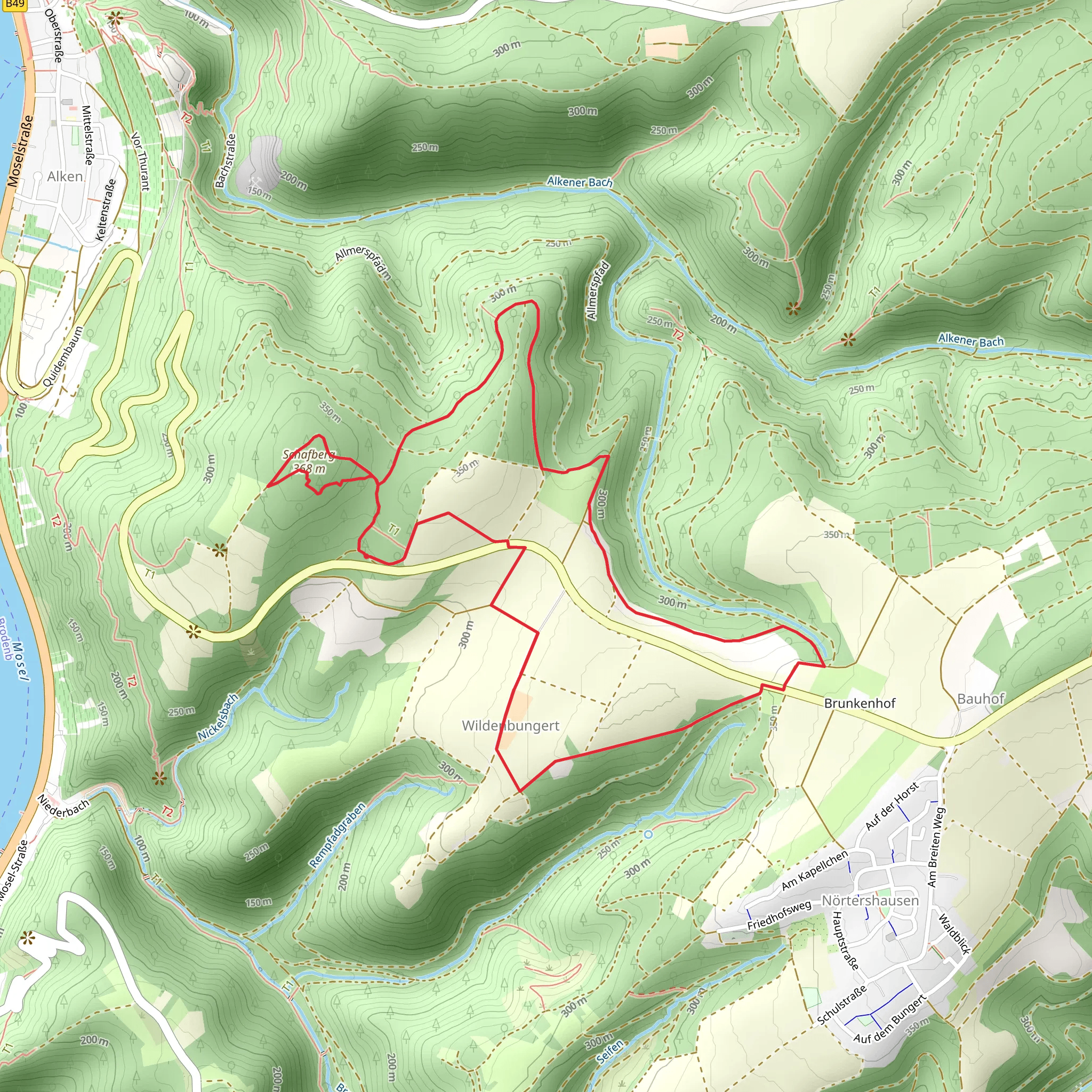 Schafberg and Wildenbungert Loop mobile static map