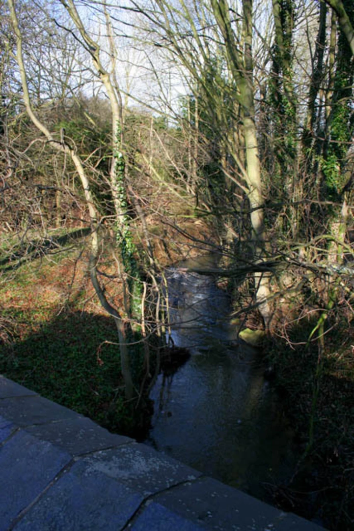 An image depicting the trail Knipton Reservoir Walk and its surrounding area.