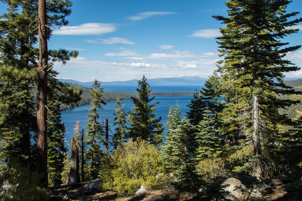 Grass Lake via Lily Lake Trail