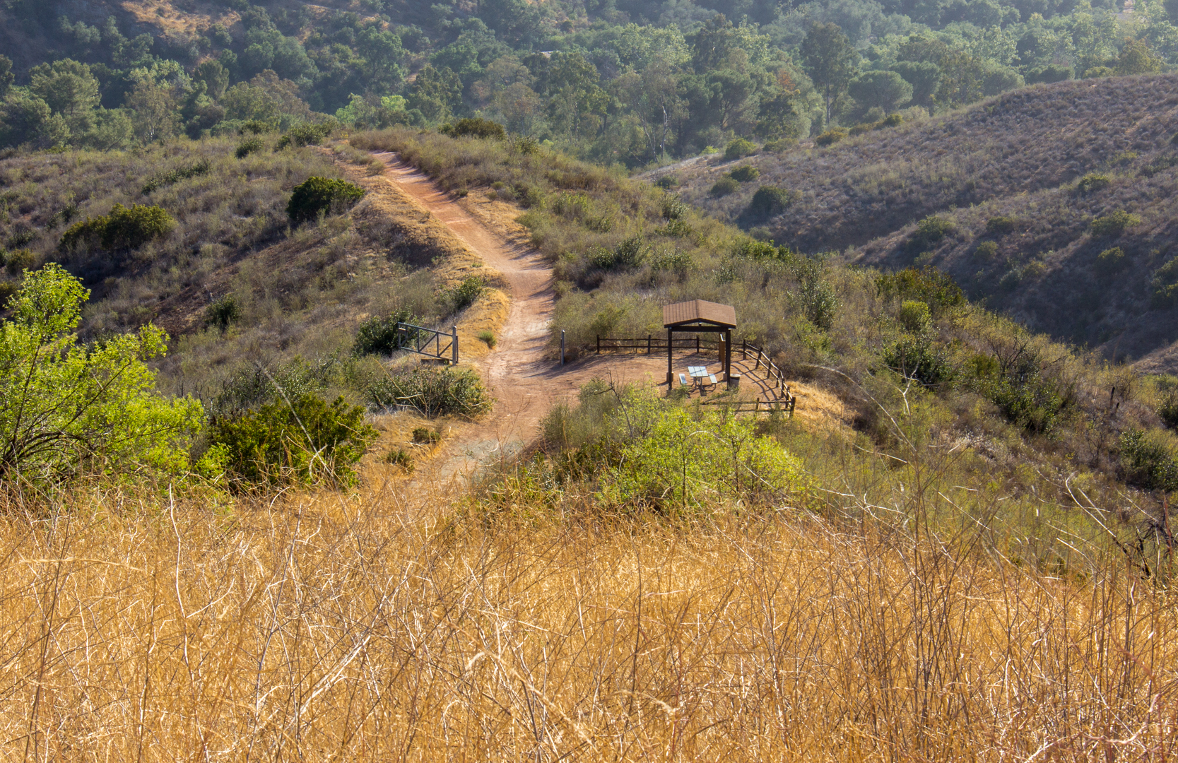 An image depicting the trail Anaheim Hills and Weir Canyon Loop Trail and its surrounding area.