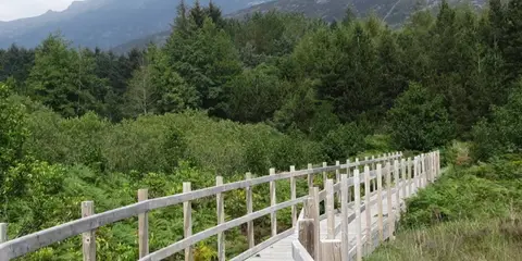 An image depicting the trail Silent Valley Nature Trail and its surrounding area.