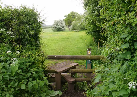 An image depicting the trail Hanbury Wharf and Astwood Loop and its surrounding area.
