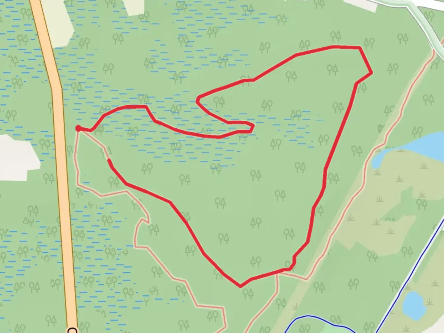 An image depicting the trail NJ State Long Trail and Lizard Tail Swamp Yellow Trail Loop and its surrounding area.