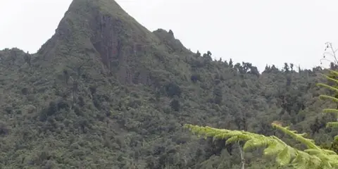 An image depicting the trail Centre of the North Island Walk and its surrounding area.