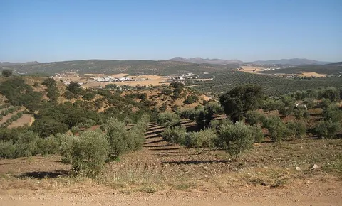 Of the 100 Pipes PR A 339