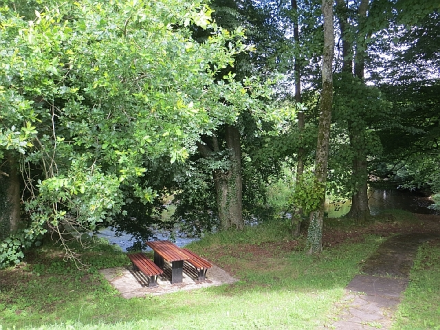 An image depicting the trail Garvagh Forest River Trail and its surrounding area.