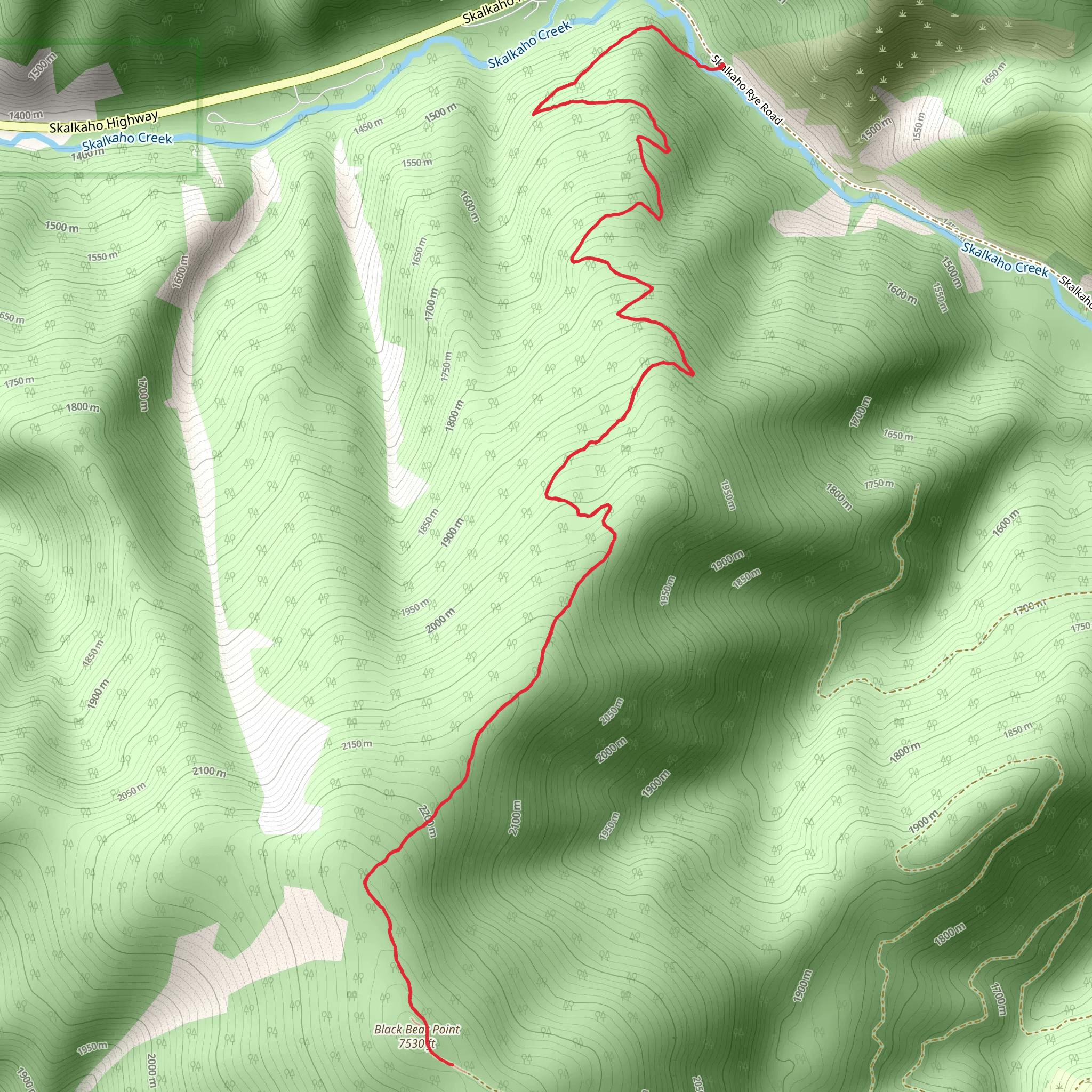 Black Bear Point Trail mobile static map