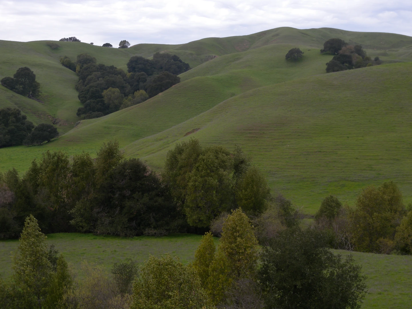 An image depicting the trail Briones Peak - Motts Peak Loop and its surrounding area.