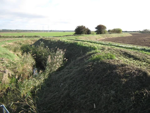 Sandwich to Hillborough via Saxon Shore Way