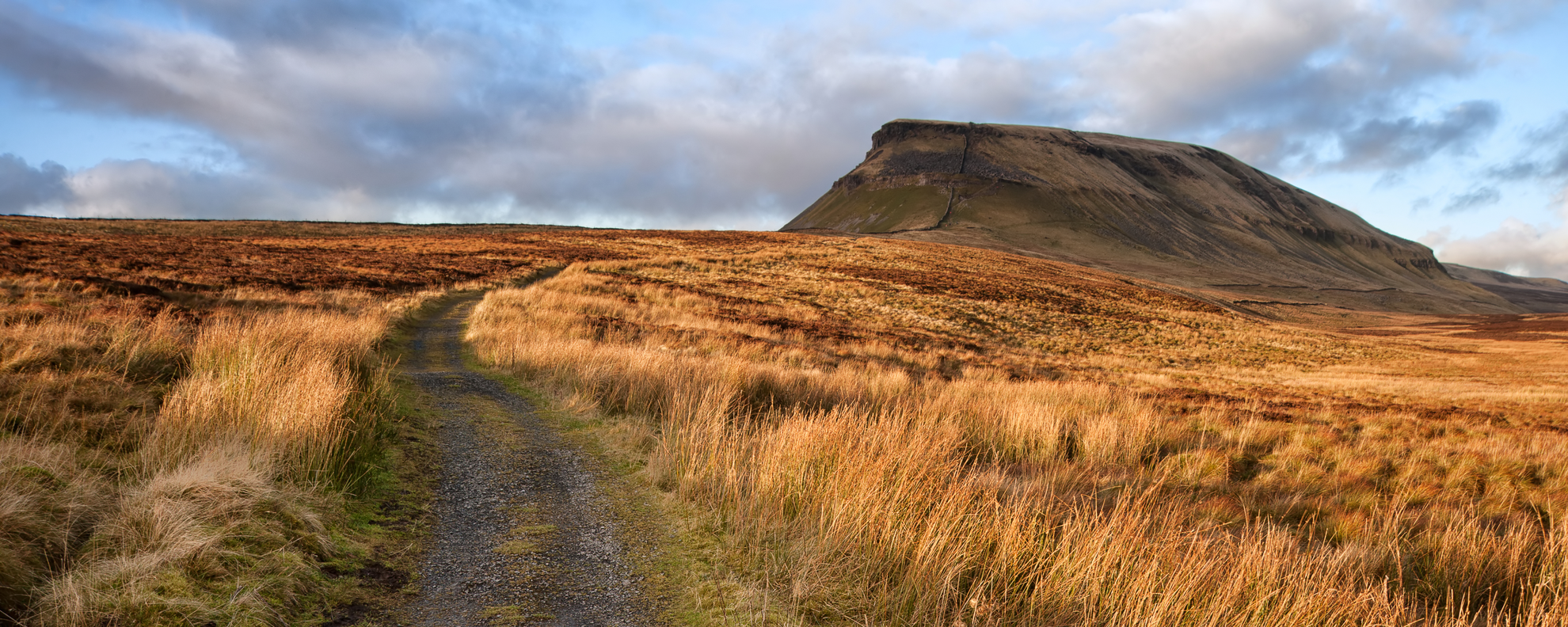 An image depicting the trail Litton - Halton Gill - Cosh Beck - Plover Hill and Pen-y-ghent and its surrounding area.