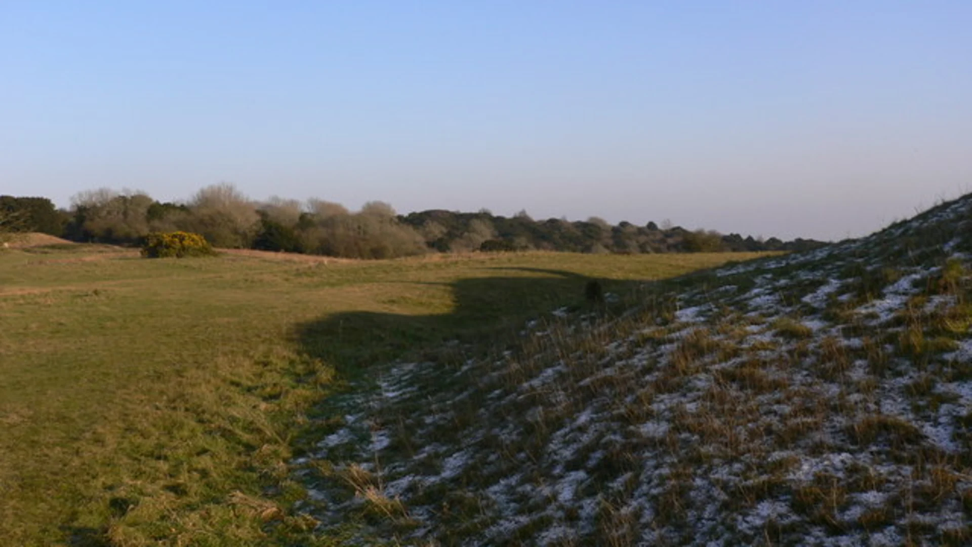 An image depicting the trail Kingley Vale National Nature Reserve and its surrounding area.