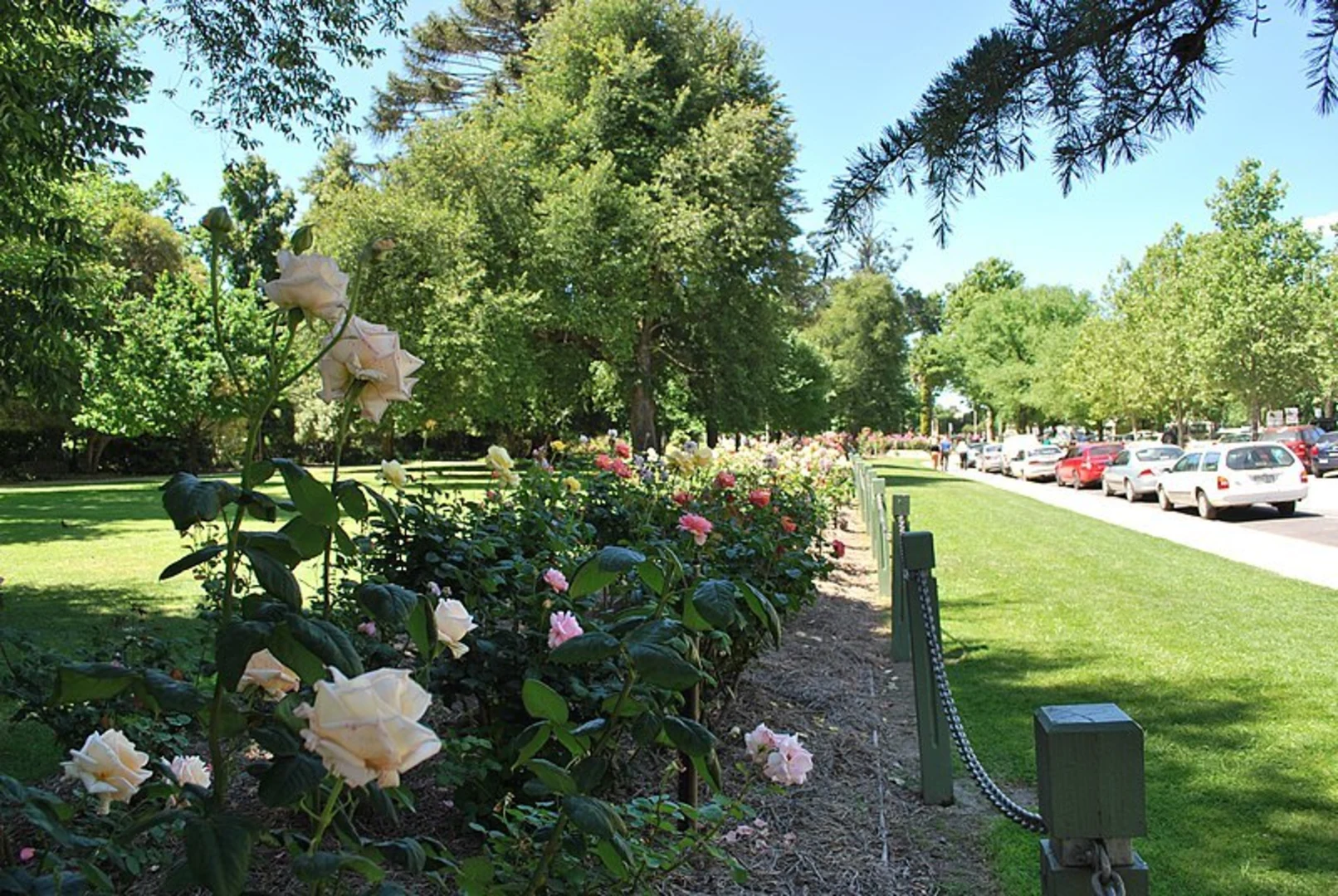 An image depicting the trail Lake Benalla Walking Track and its surrounding area.