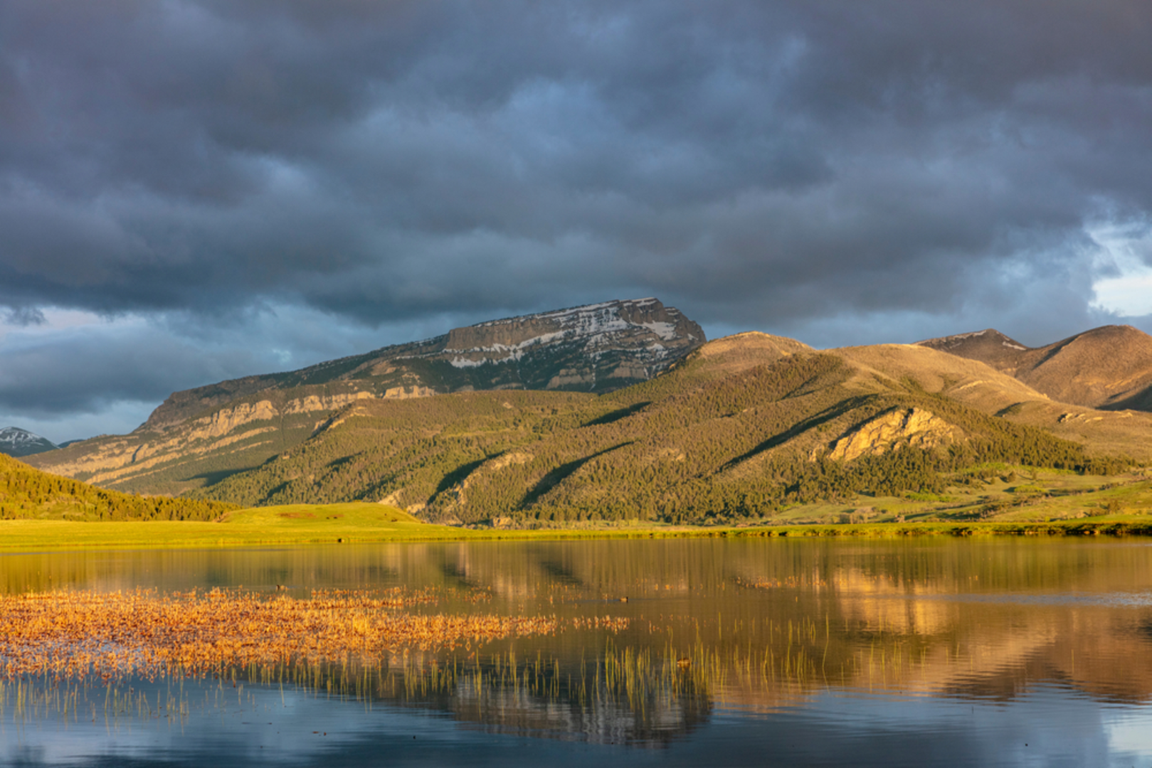 An image depicting the trail Elk Pass Trail and its surrounding area.