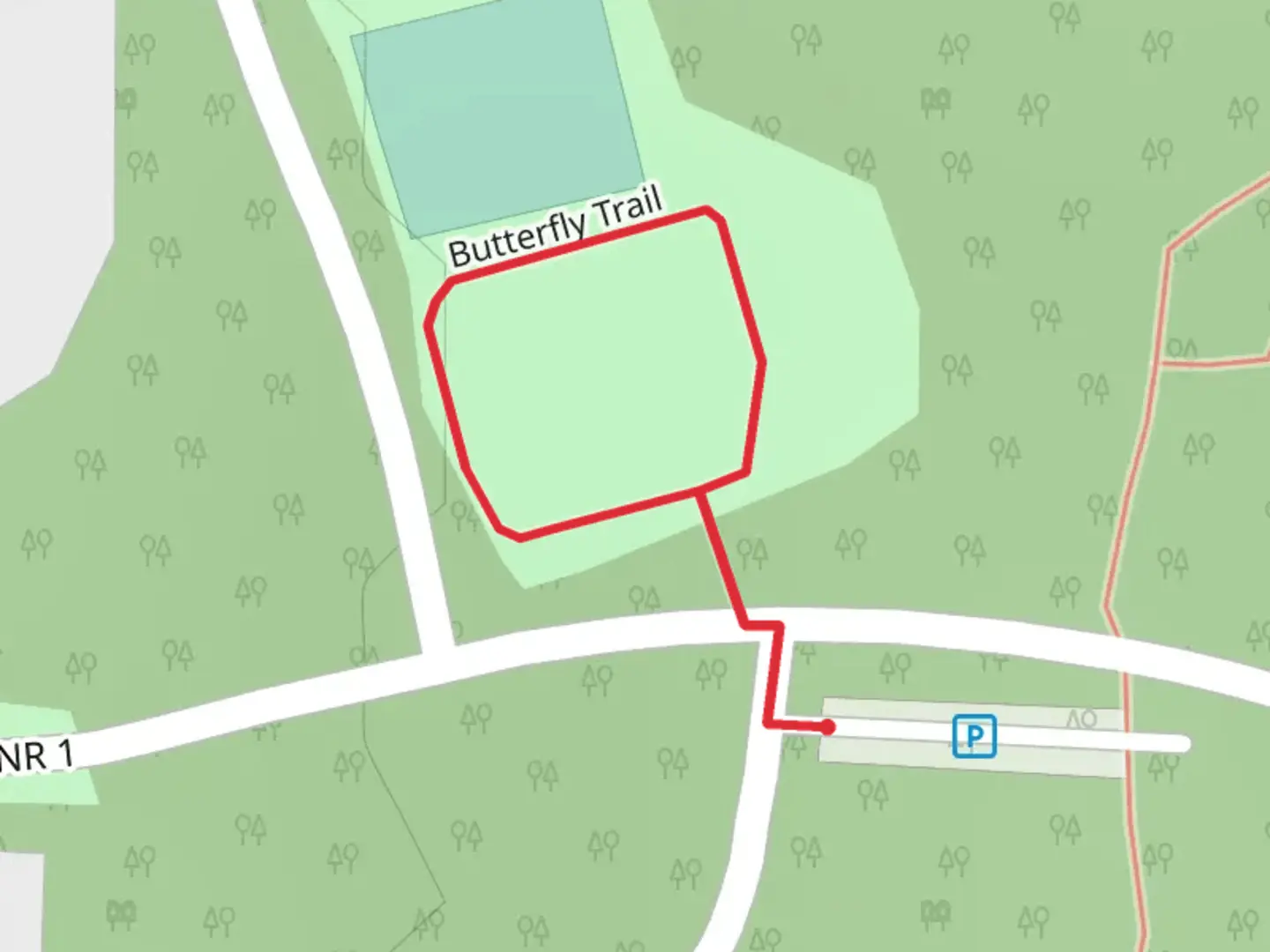 An image depicting the trail Butterfly Loop Trail and its surrounding area.