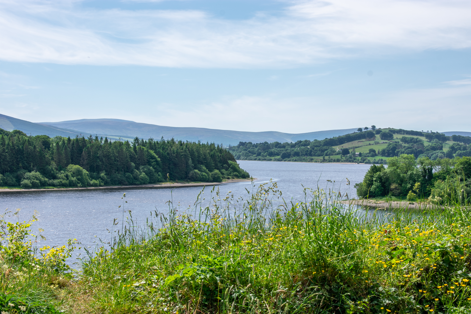 An image depicting the trail Russborough via Blessington Greenway and its surrounding area.