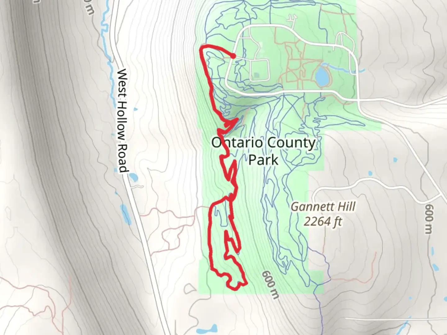 An image depicting the trail Gannett Hill Road Loop - West and its surrounding area.