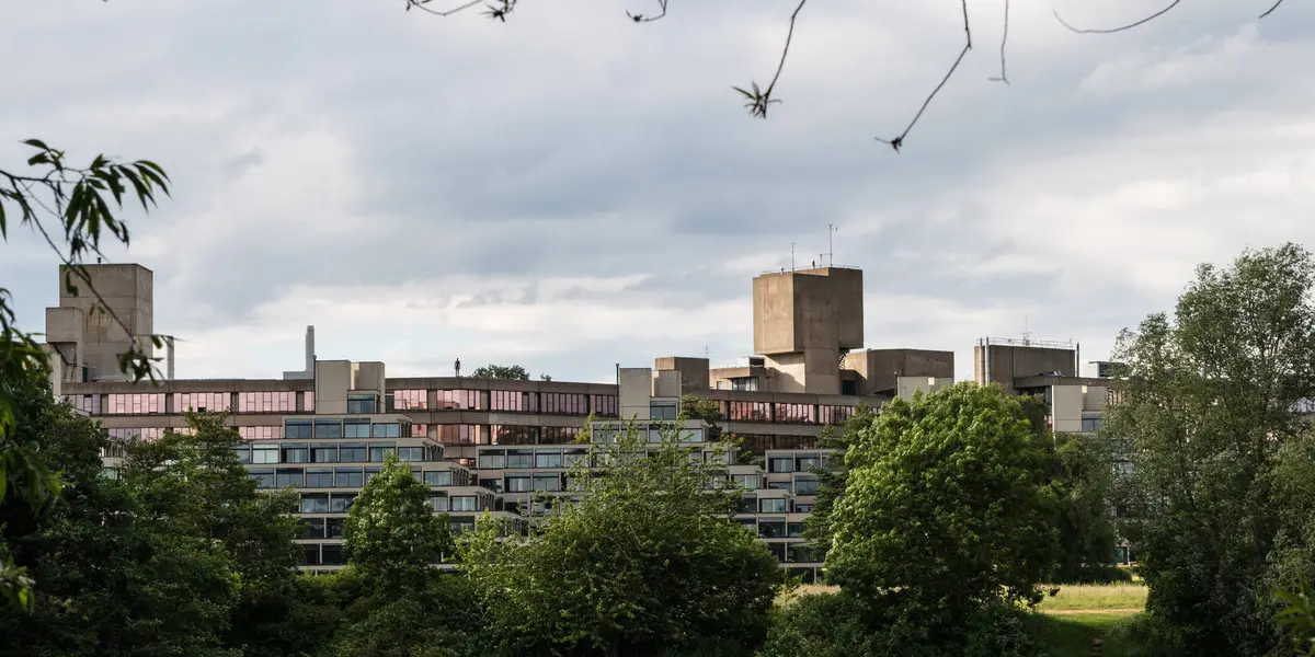 Tuckswood to Bowthorpe Walk