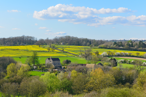 Frome Valley Walkway