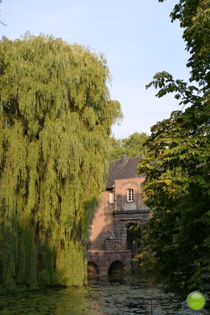 An image depicting the trail Schloss Rheydt Loop via Residenzweg and its surrounding area.