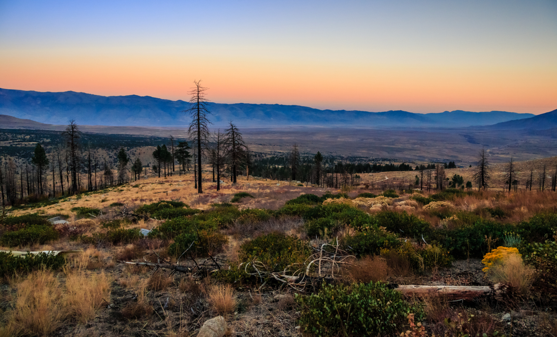 An image depicting the trail Lower Rock Creek Trail and its surrounding area.