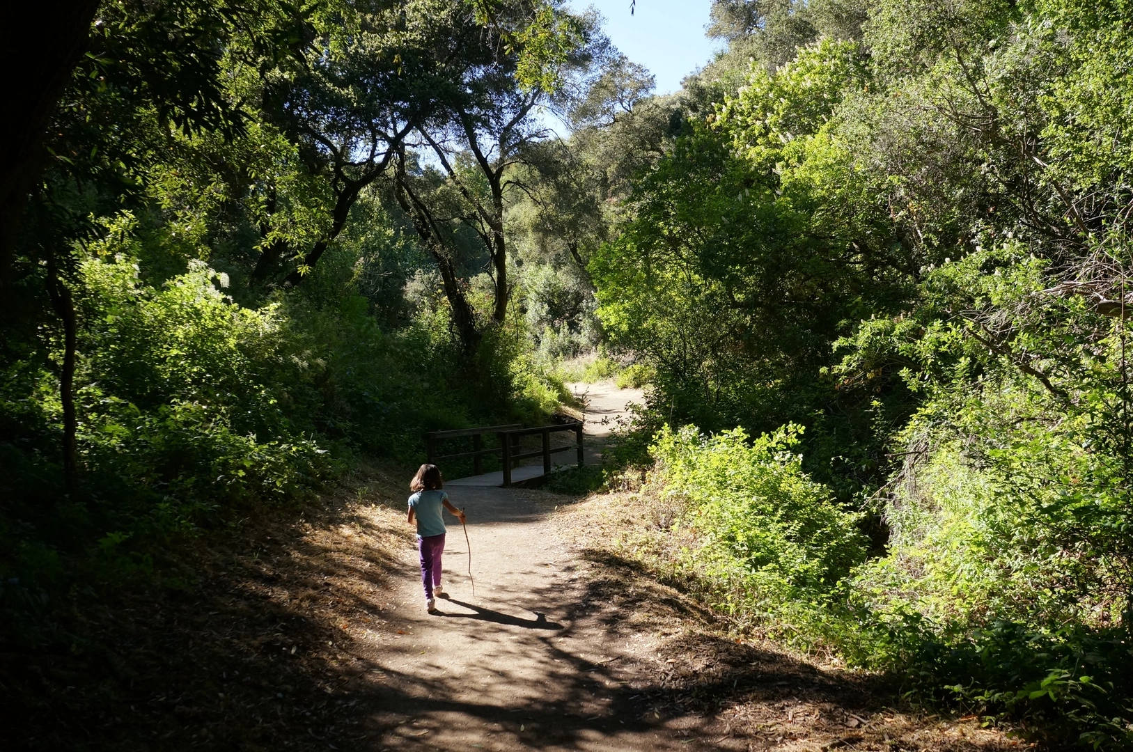An image depicting the trail Permanente Creek, High Meadow and Wildcat Loop Trail and its surrounding area.
