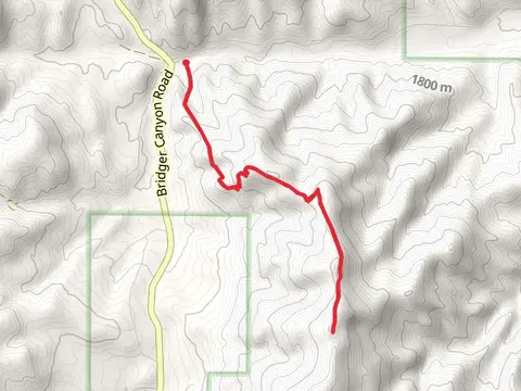 Bangtail Divide Trail - Short