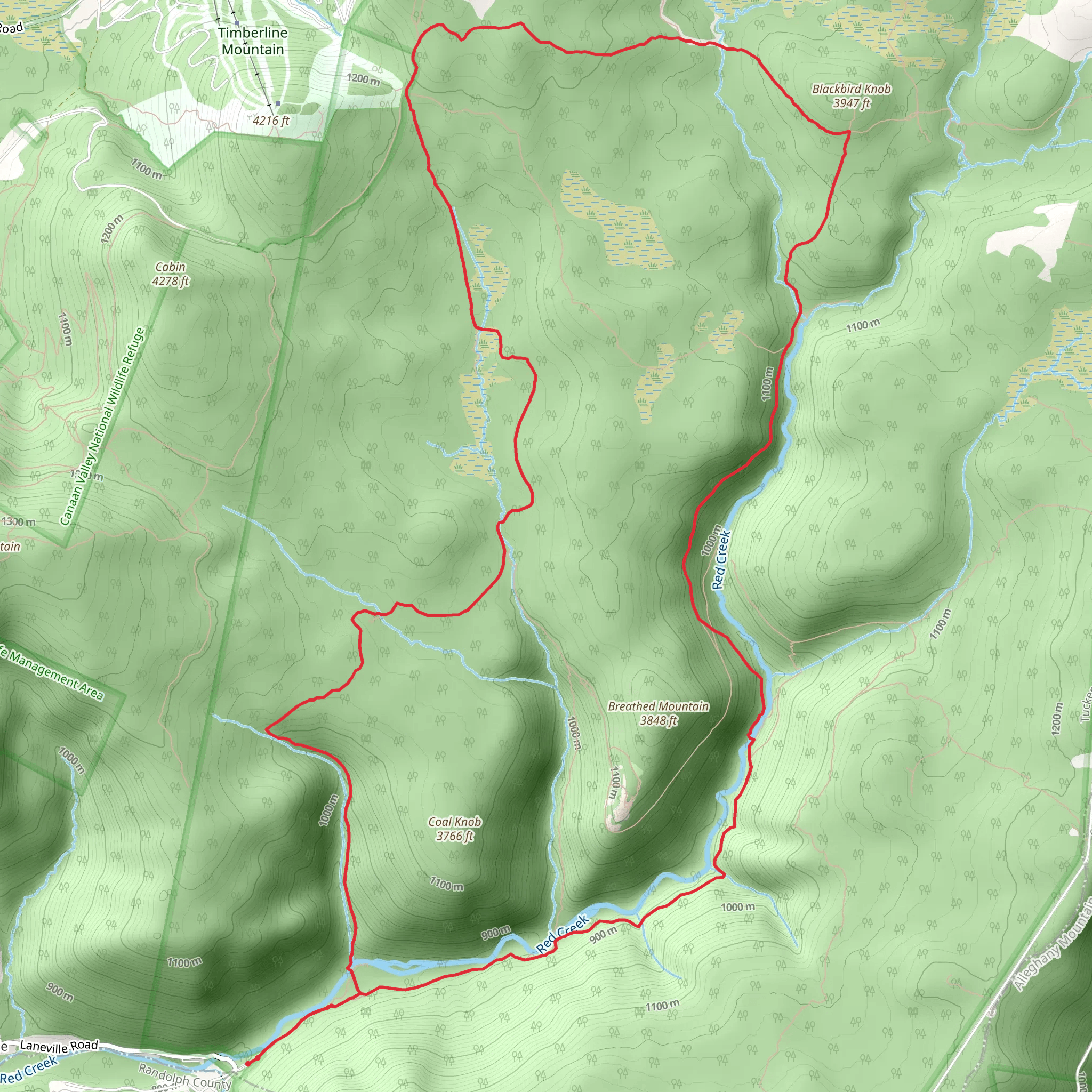 Blackbird Knob via Red Creek Trail and Big Stonecoal Loop Trail mobile static map