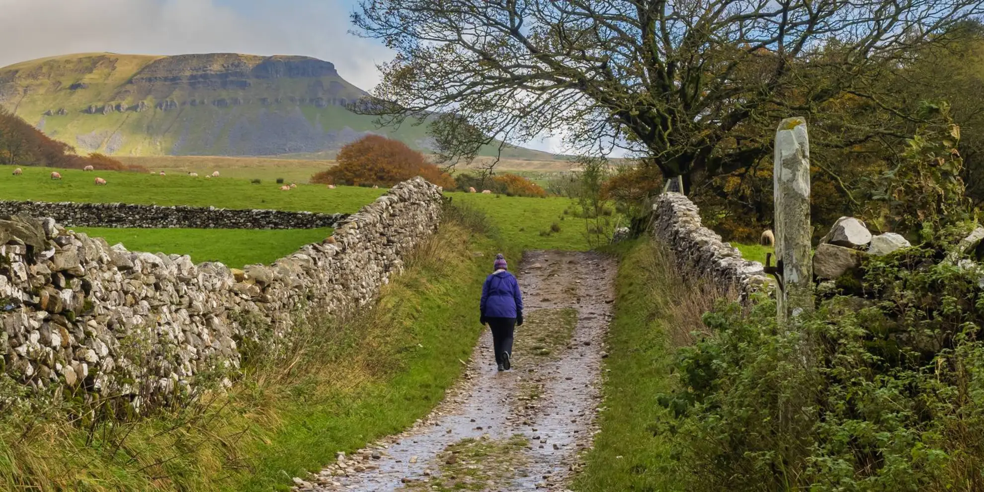 An image depicting the trail Pen-y-ghent and Littondale and its surrounding area.