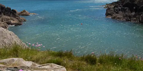 An image depicting the trail Porth Clais - St Davids and its surrounding area.