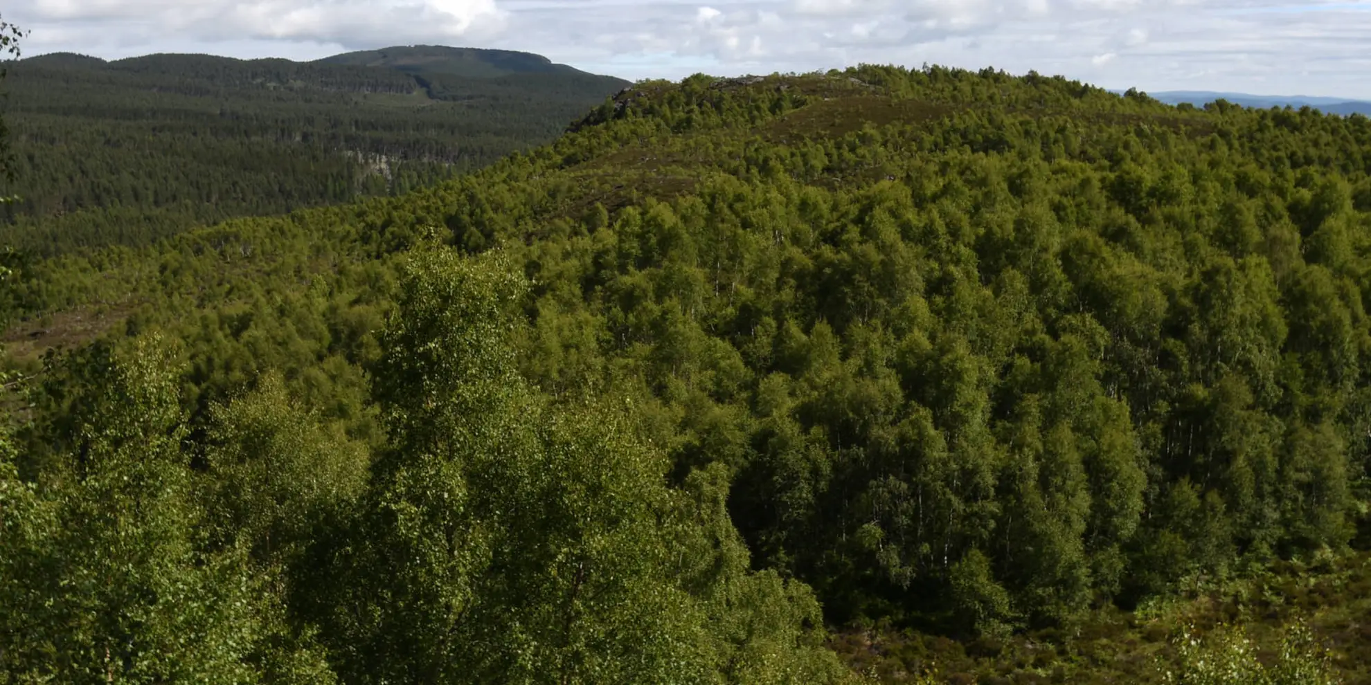 An image depicting the trail Craigellachie Loop from Aviemore and its surrounding area.