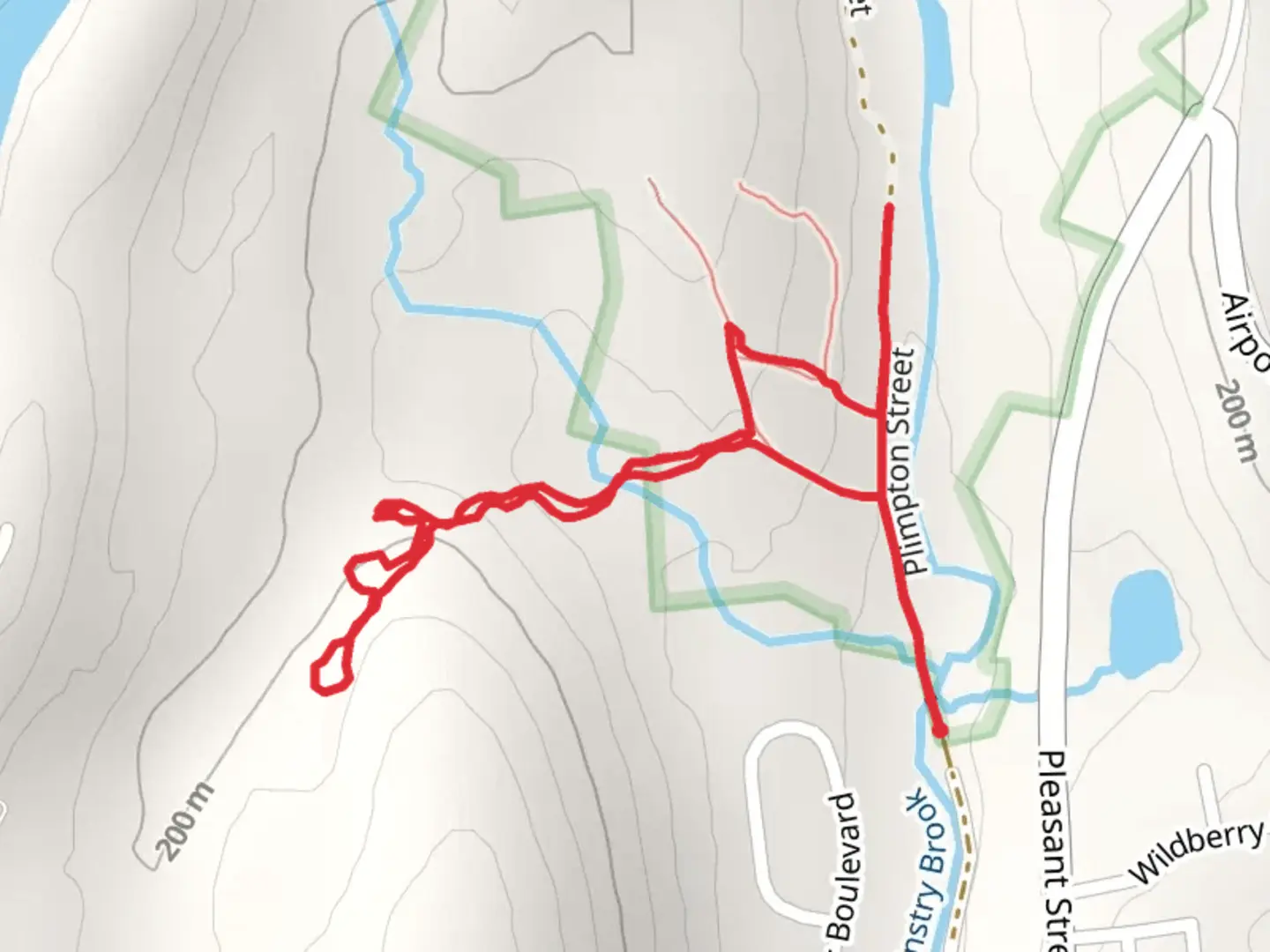 An image depicting the trail Plimpton Street Loop McKinstry Brook and its surrounding area.