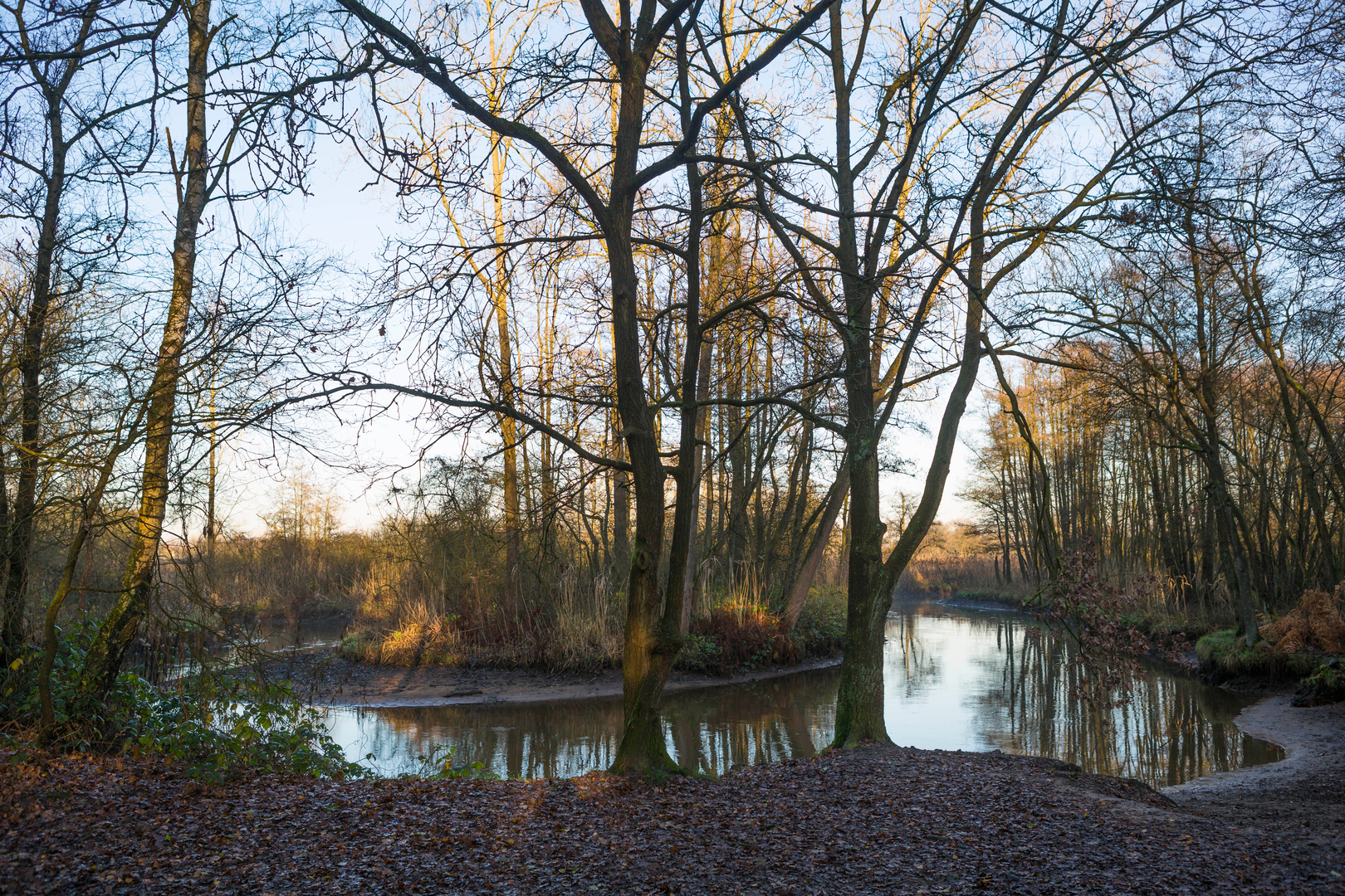 An image depicting the trail Grenslandpad and its surrounding area.