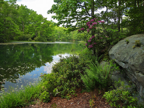 An image depicting the trail Triple Creek Trail and its surrounding area.