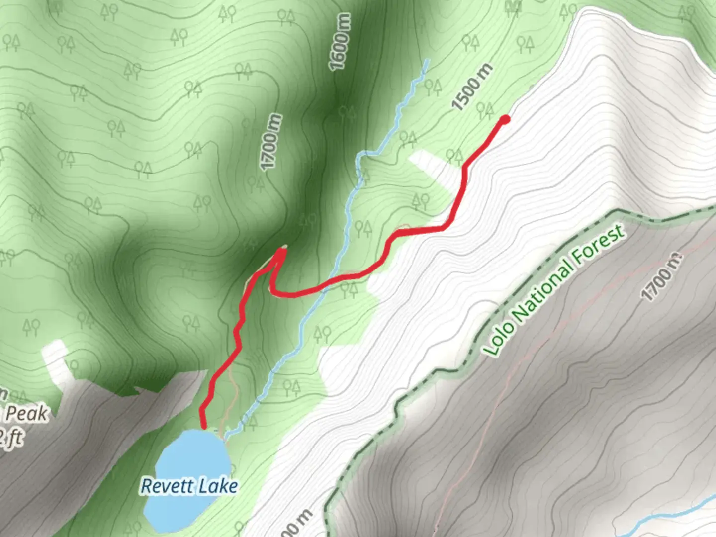 An image depicting the trail Blossom Lake Trail and its surrounding area.