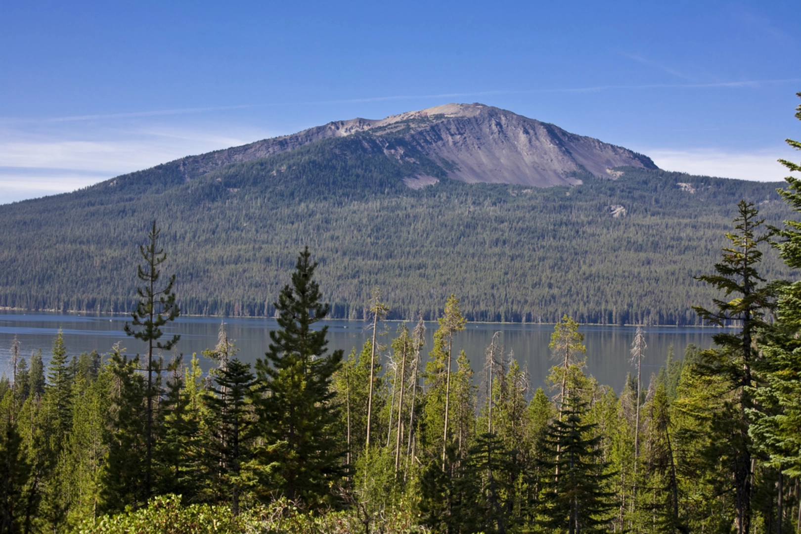 An image depicting the trail Silent Creek Trail and its surrounding area.