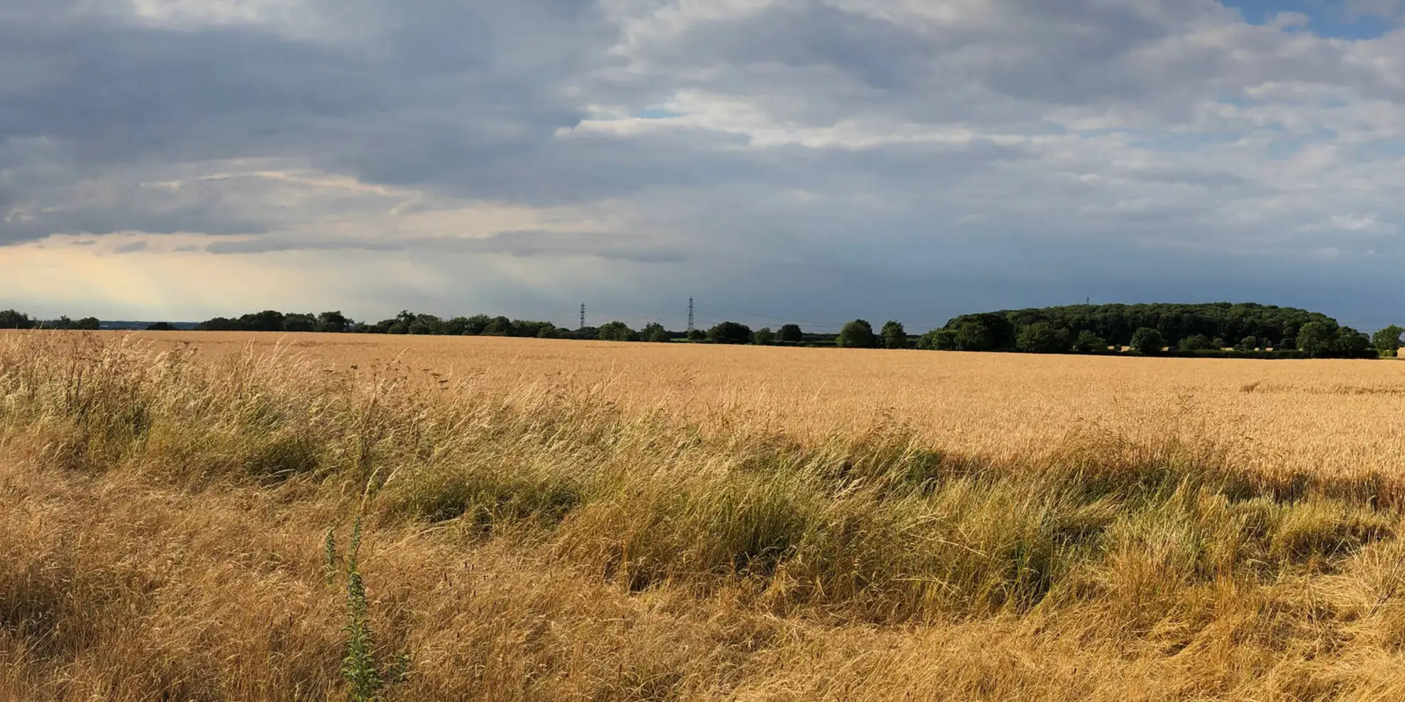 An image depicting the trail Burton upon Stather - Julian's Bower and Alkborough and its surrounding area.