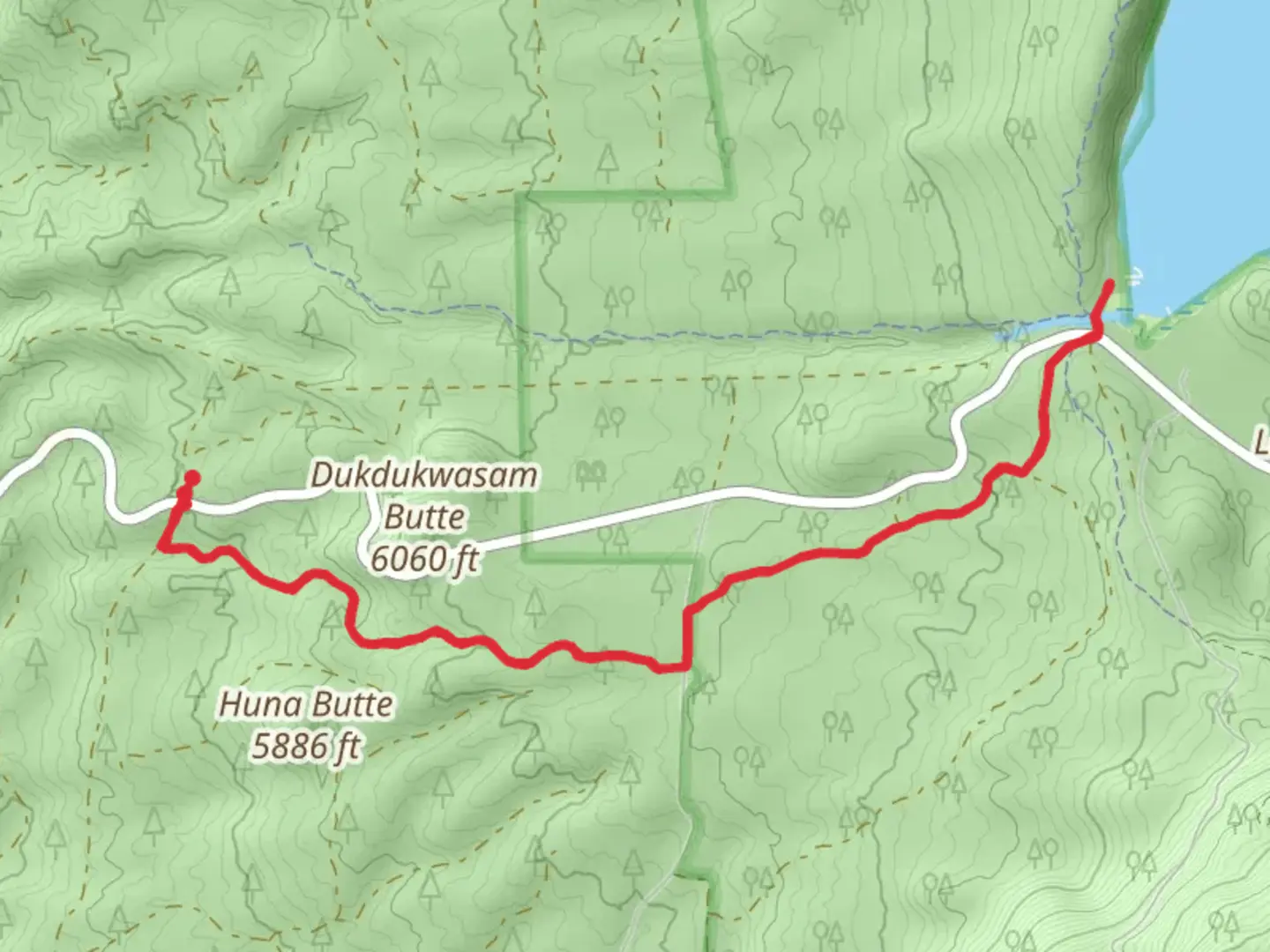 An image depicting the trail Paulina Lake from Pauline East Lake Road and its surrounding area.