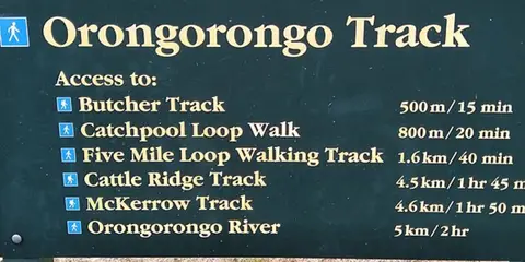 An image depicting the trail Ōrongorongo Track and its surrounding area.