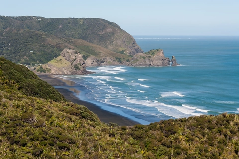 Tasman Lookout Track