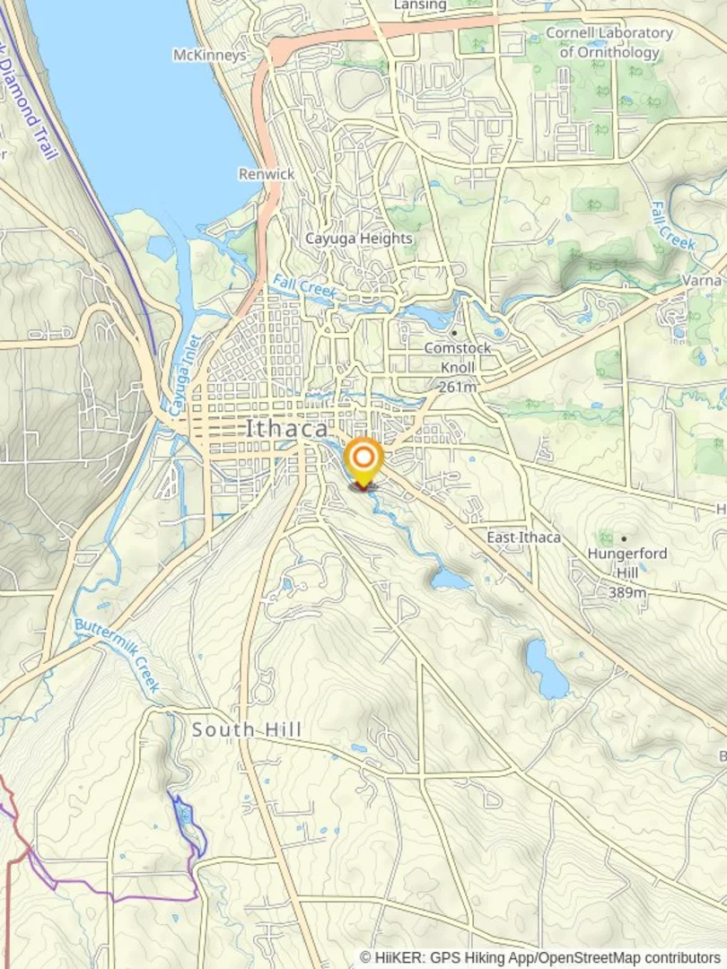 An image depicting the trail Six Mile Creek from Giles Street and its surrounding area.